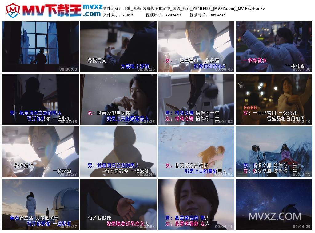 飞歌_毒恋-凤凰落在我家中_国语_流行_YE101683